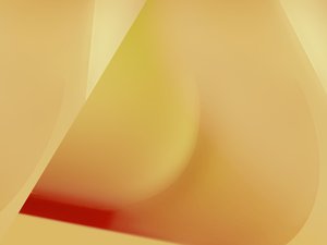 合同管理